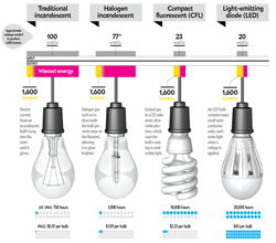 Bulbs & Lamps